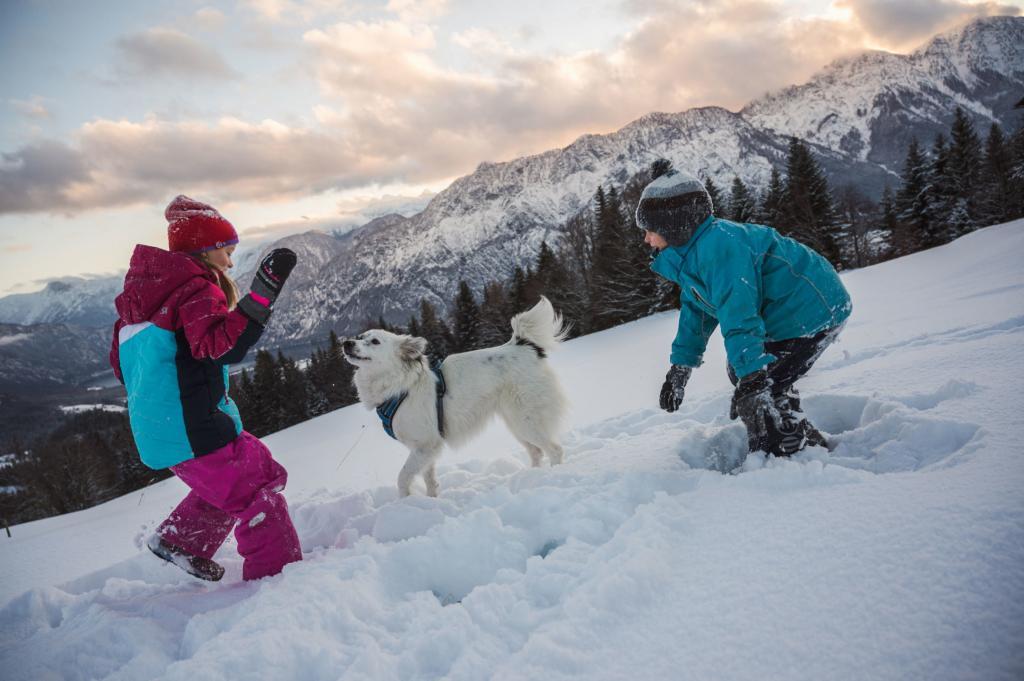 Familienfotos im Winter machen Spaß