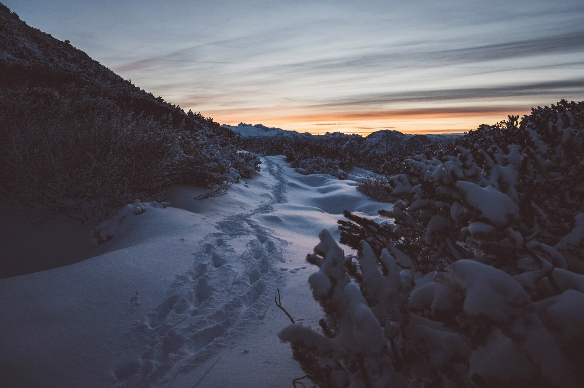 Spuren im Schnee