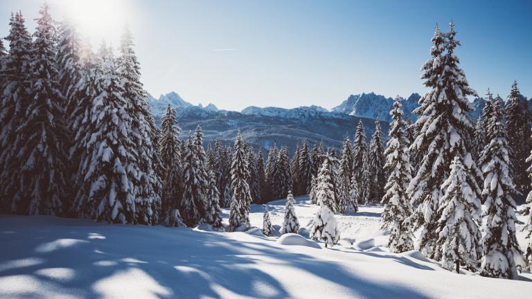 Bessere Winterfotos